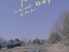 -贡湖湾湿地公园