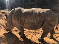 -昆明动物园