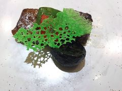 -诺莱仕游艇会