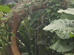 -上海鲜花港