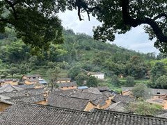 -杨家堂村