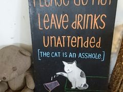 -海边的猫和咖啡馆