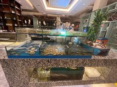 水产区-梅园国际大酒店·自助餐厅(光明港店)
