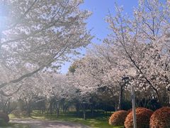 -尚贤河湿地