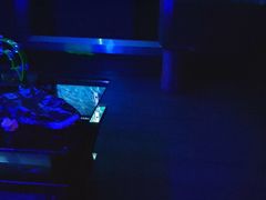 -飞歌e族KTV(雄楚1号店)