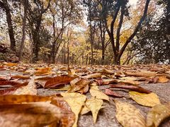 -宝通禅寺