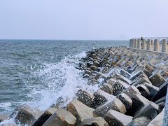 -东堤公园