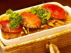 -茉莉.Red Crab