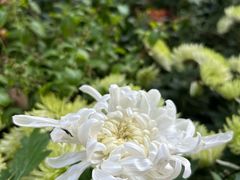 -共青国家森林公园-售票处