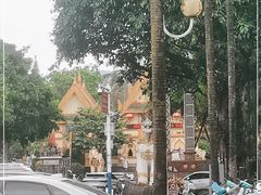 -云南勐巴娜西珍奇园
