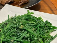 -南海鸽天下(肇庆店)