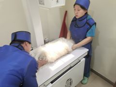 -美迦爱-牙专科·兔科·骨科诊疗中心(北苑店)
