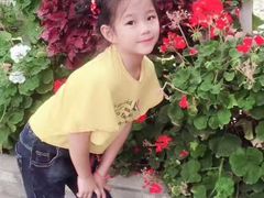 -金马仑薰衣草花园(Cameron Lavender)