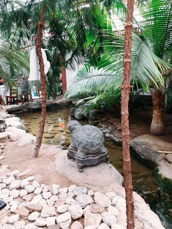 海岱绿洲-"正月十五,老爸过生日,提前预定的房间大家.