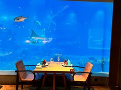 -涛·海底餐厅·美人鱼·自助餐·海底隧道(三亚海棠湾洲际度假酒店)