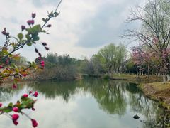 -梁鸿国家湿地公园