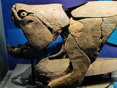 -国家自然博物馆