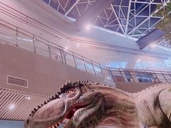 -湖南省地质博物馆