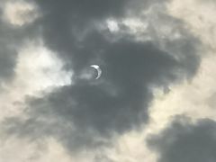 -千稻剁椒大鱼头(CityOn熙地港店)