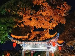 -桂林两江四湖景区