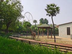 -石家庄市动物园