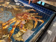 -东海怡品海鲜豆捞(舟宿夜江店)