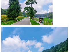 -武陵山森林公园