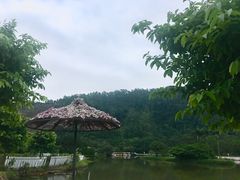 -南沙蒲洲花园