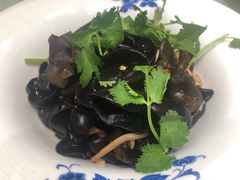 -陶然居·重庆菜(鱼洞老街店)