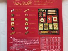 -关西国际机场直营免税店