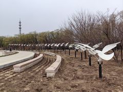 -野鸭湖国家湿地公园