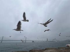 -星海广场
