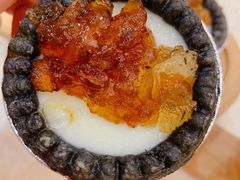 竹炭桃胶奶挞-顺德人家食府(黄金广场店)