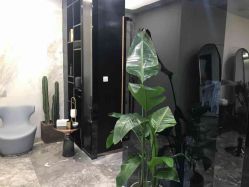 -INSTYLE造型·明星店