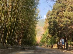 -蝴蝶泉公园
