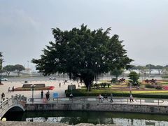 -石炮台公园