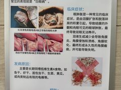 -北京观赏动物医院·24小时大型综合·猫专科·异宠专科