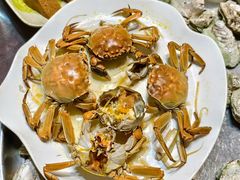 -东鸽皇(奥园·中环广场店)