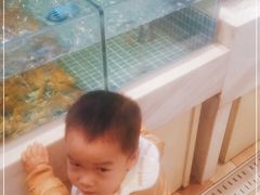 -妈妈菜舟山海鲜(定海古城店)