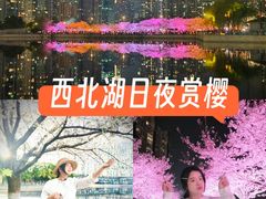 -西北湖绿化广场
