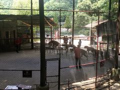 -石燕湖生态旅游景区