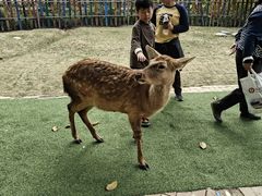 -广东花都香草世界旅游度假区