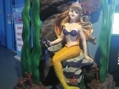 -多彩贵州城极地海洋世界