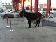 android_upload_pic-大舞台剧场