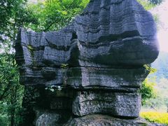 -梭布垭石林景区