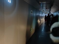 -白鹤梁水下博物馆