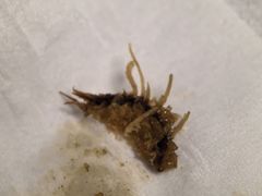 -东池便当(沪闵路店)