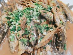 -全乐鱼馆·淳牌有机鱼直营店