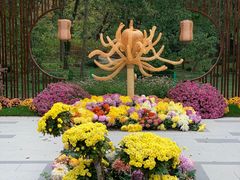 -上海共青森林公园