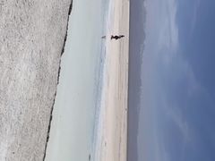 -茶卡盐湖